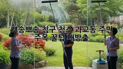 🛌 뽀송뽀송 침구 청소, 과교동 주민 주목! ✨꿀팁 대방출